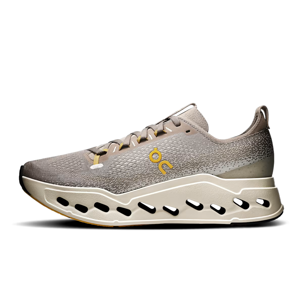 Running Cloudsurfer Max — Cinder Pelican